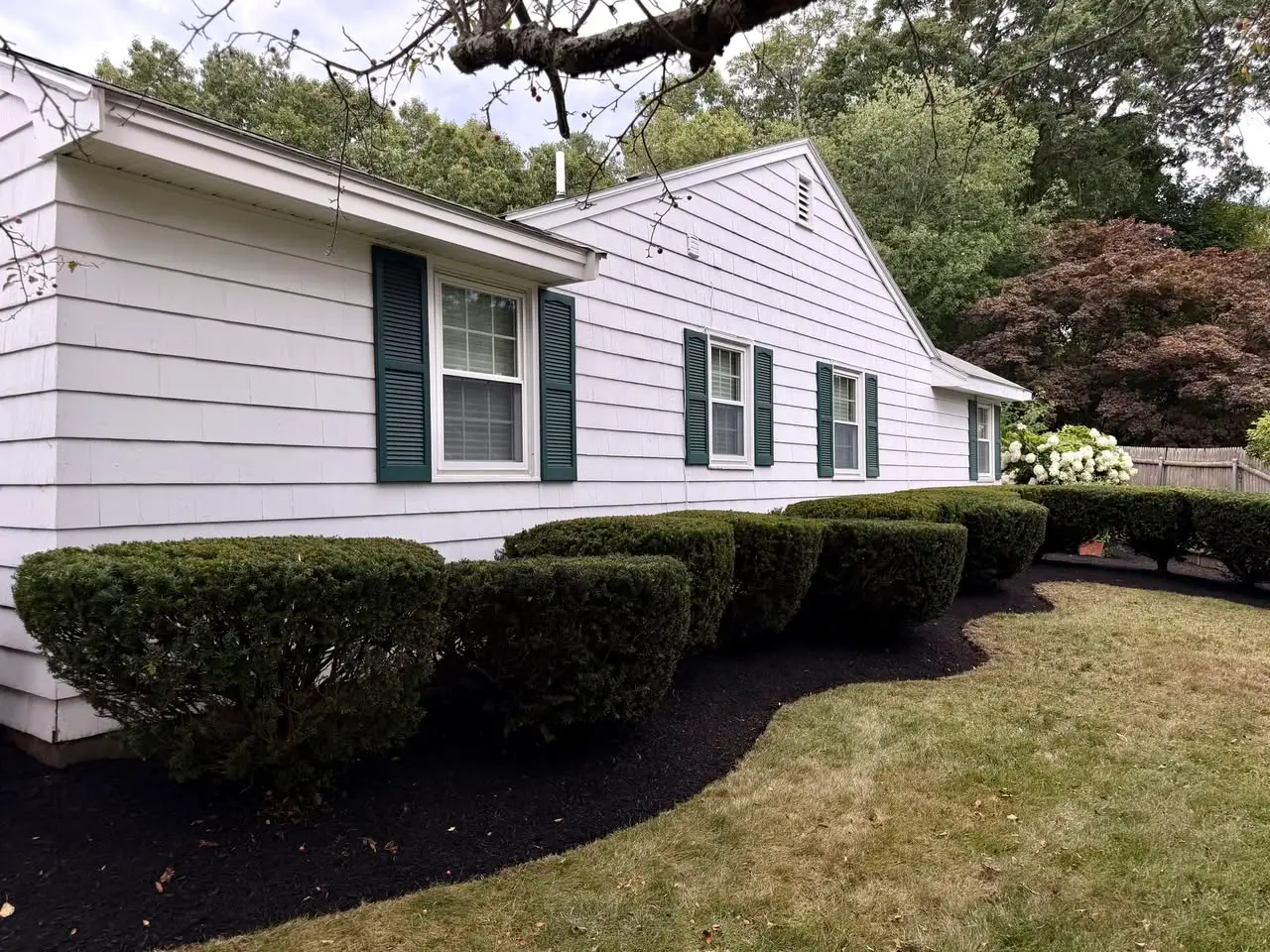 Trimmed shrubs along the white-sided Reading home
